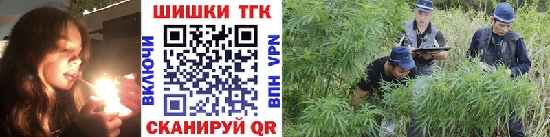 хочу наркоту  Нижний Ломов  Каннабис сатива 